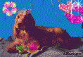 /album/fotogaleria/a736719864-2092040-gif/
